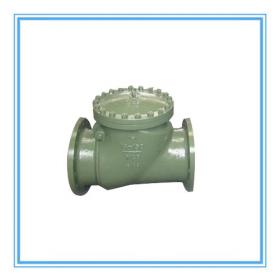 Full-bore API6D design swing-type check valve flange connection