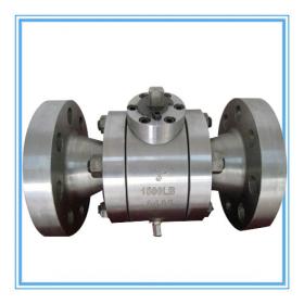 American standard high pressure flange ball valve connection