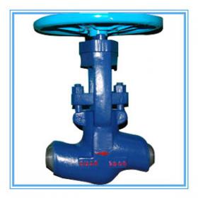 Pressure sealed Globe Valve for power plants