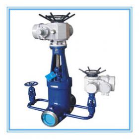 Motor Gate Valve with passby for power plants