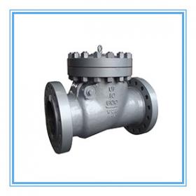 American standard check valve