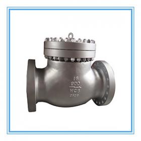 American standard check valve