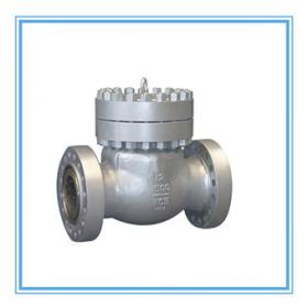 Check valve