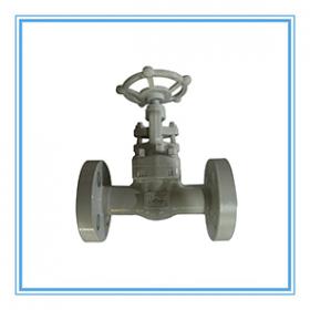 Forged steel flange gate valve