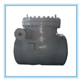 Extraction check valve