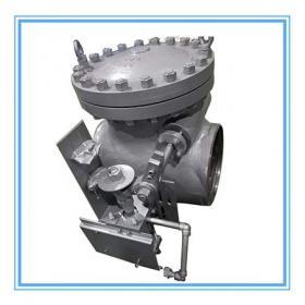 Power station extraction check valve
