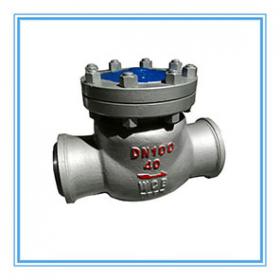 Swing check valve