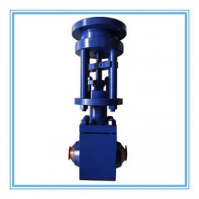 Power station valve
