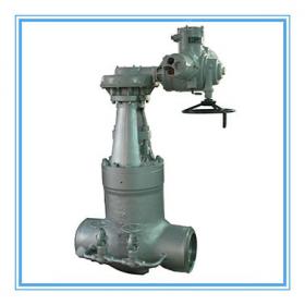 Power station valve