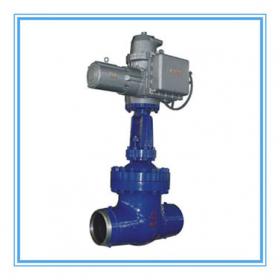 Power station valve