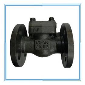 Forged steel flange check valve
