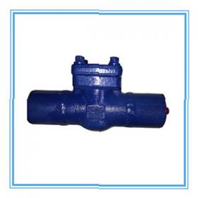Check valve extension tube