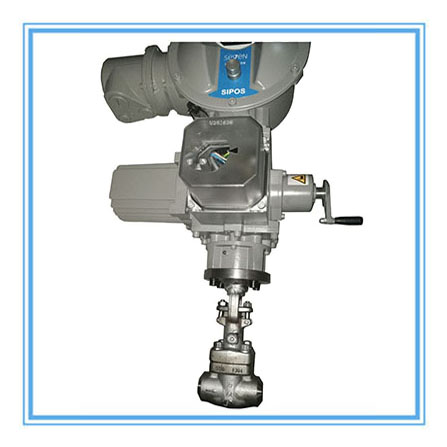 Stainless steel globe valve-Yongjia Pinxin Valve Co.,LTD